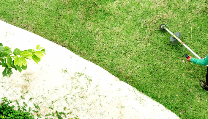 Which price do you want to pay for grass cutting?