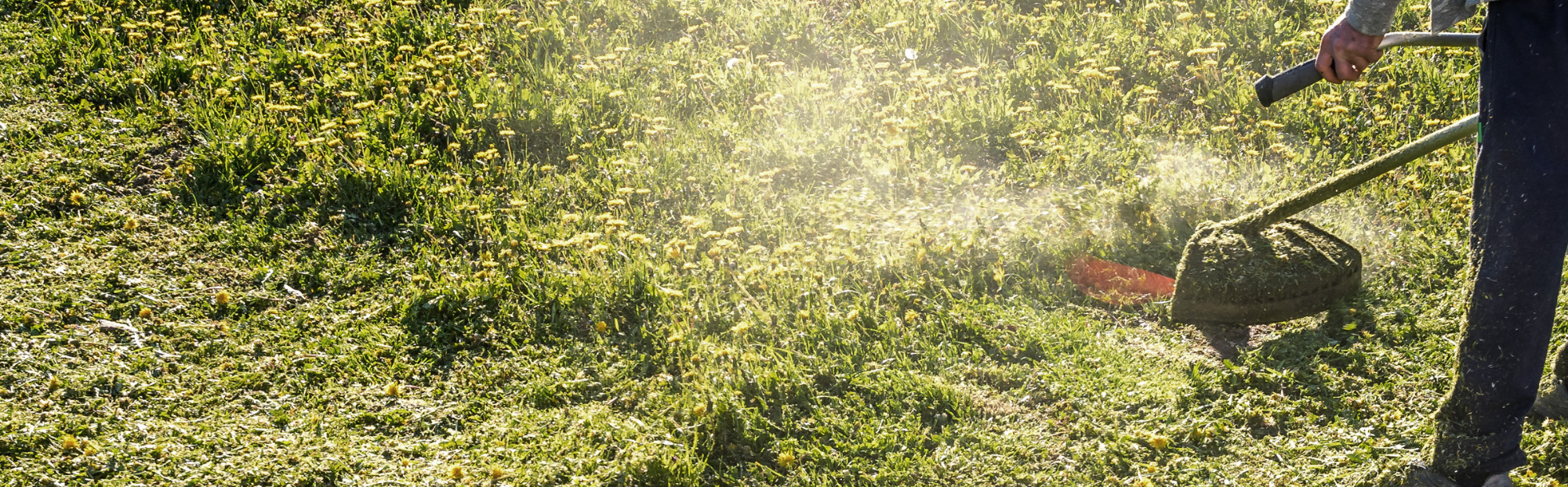 Updates on grass cutting