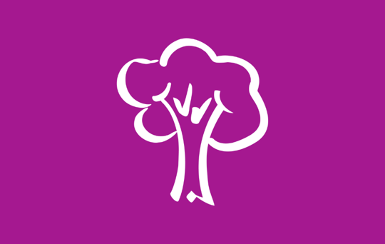 Gardens, fences and sheds