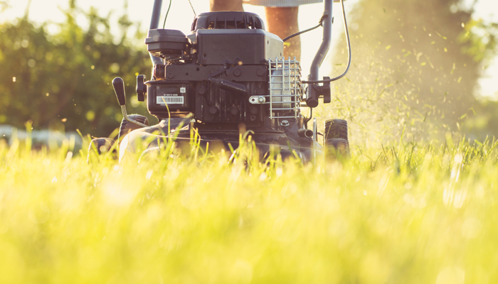 Mid-season grass cutting update: how’s it going?