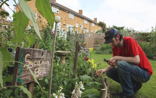 Gardening with Luke