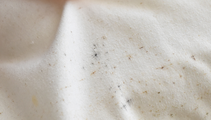 Damp and mould session with Board 2023