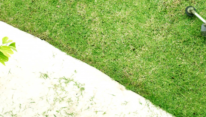 Grass cutting in 2024