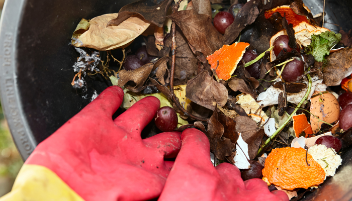 Put the pests to rest