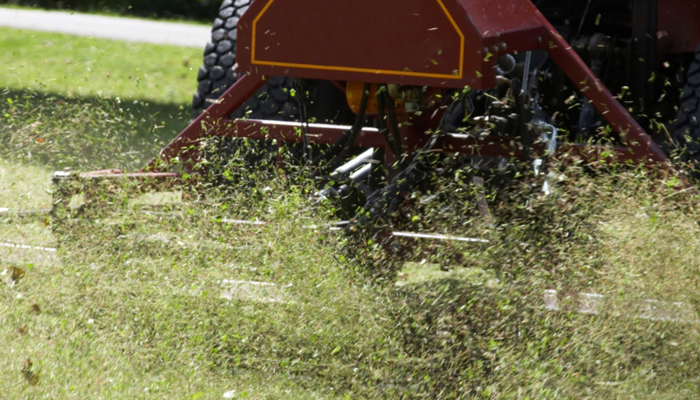 Grass cutting FAQs 2025