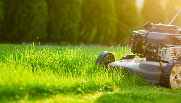 Grass cutting updates