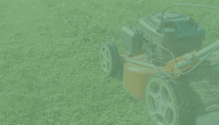 Latest update on your grass cutting service, 18 September