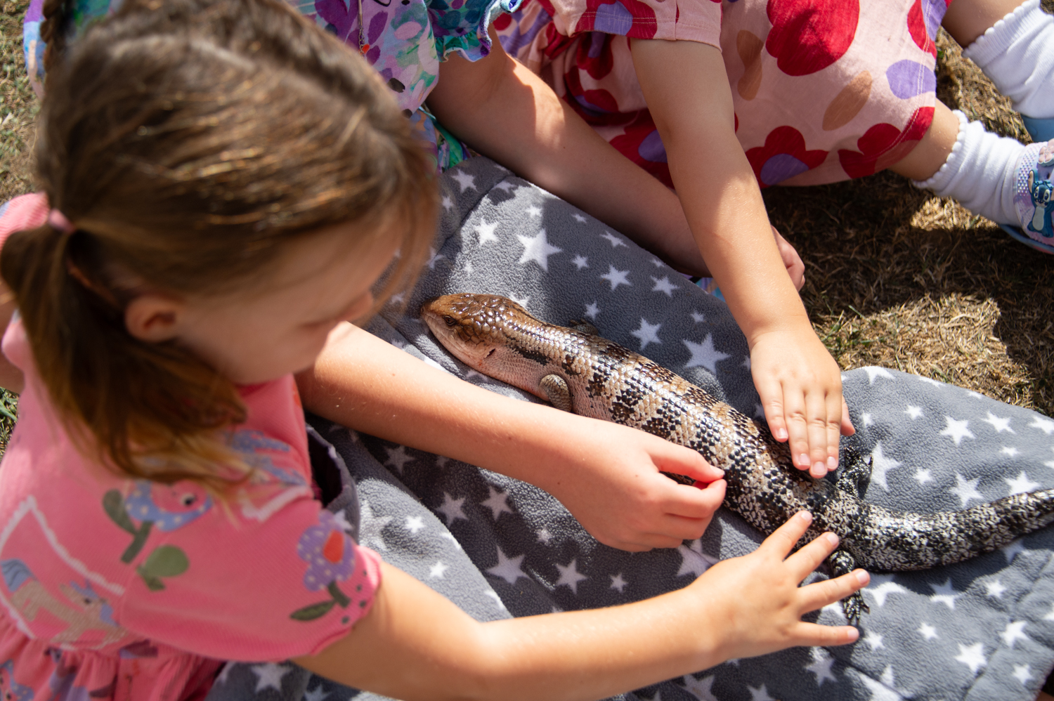 Two kids pet a salamander 