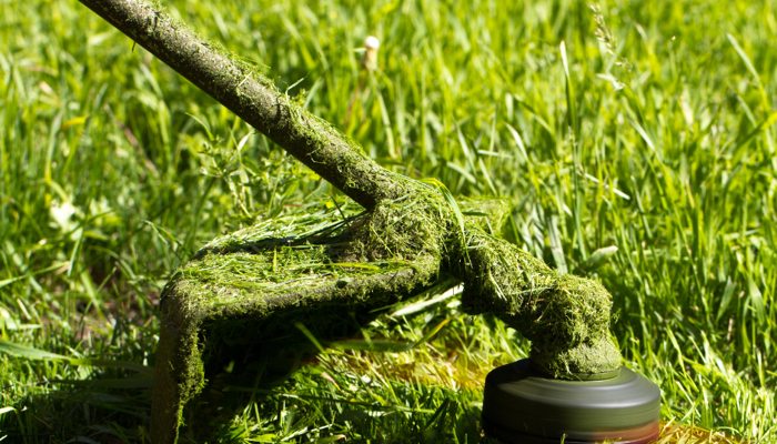 Grass cutting updates