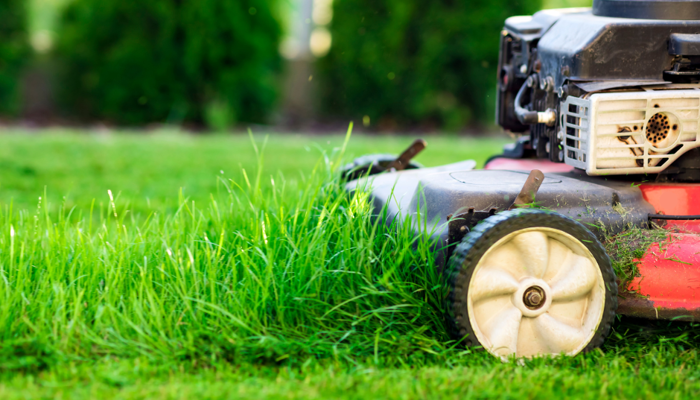 Grass cutting FAQs