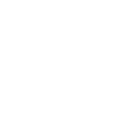 White warning icon