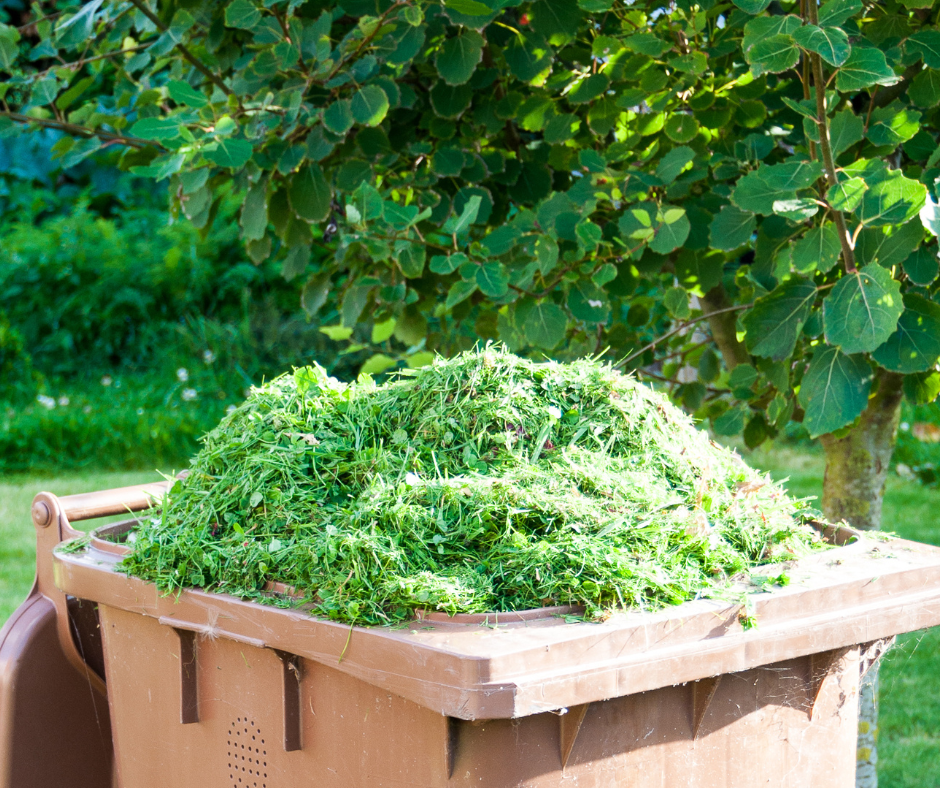 Box cut grass option