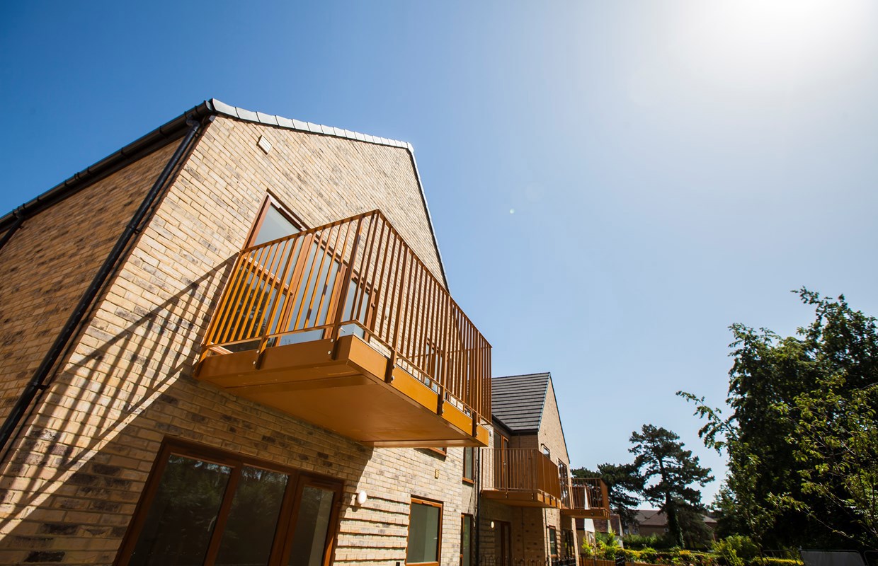 Beech Walk 5