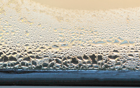 5 tips for preventing damp & mould