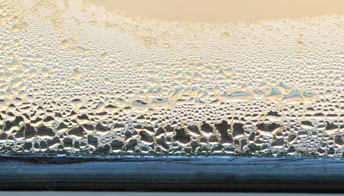 5 tips for preventing damp & mould
