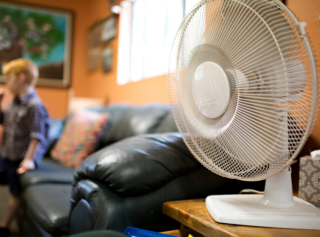 Photo of electric desk fan