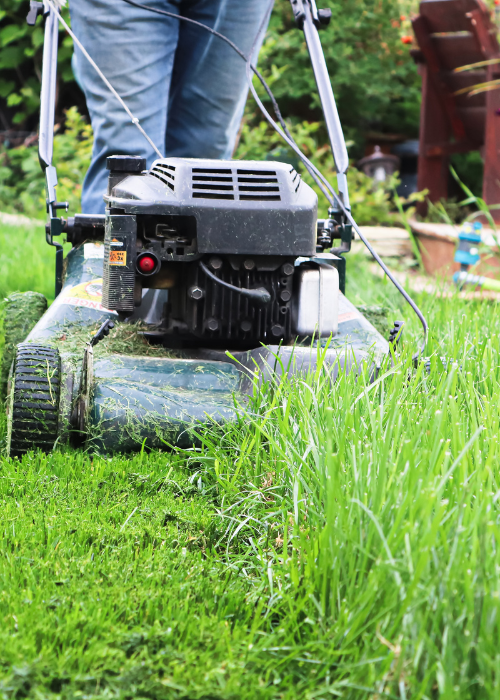lawn mower cutting grass